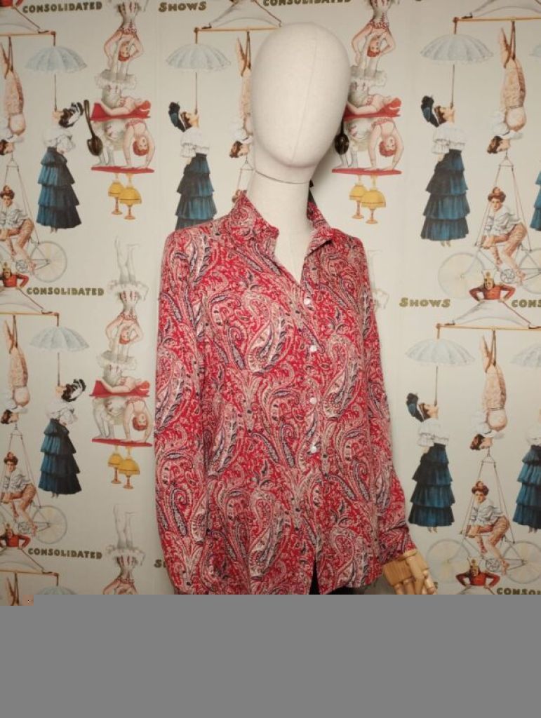 CAMISA M/L ESTAMPADA BOTEL