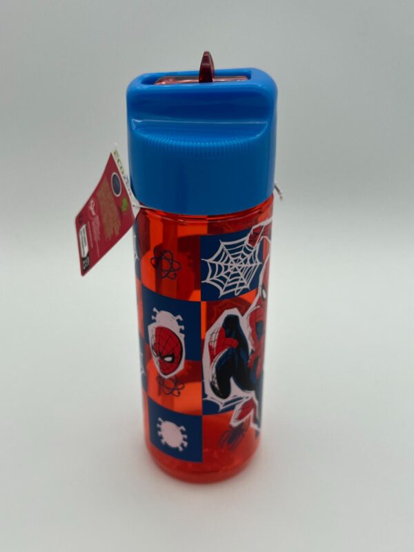 BOTELLA ECOZEN GRANDE  540  ML