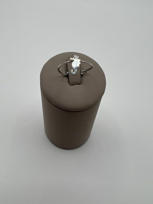 ANILLO ACERO 1200
